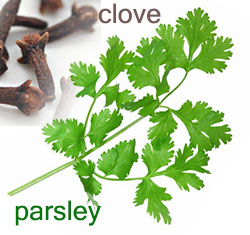 parsley-clove parsley&clove