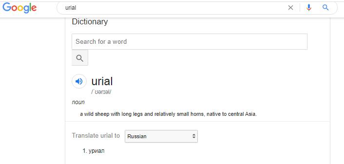 google urial